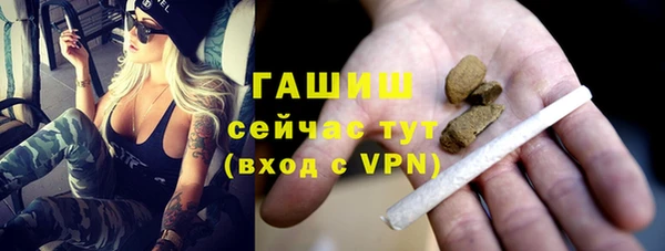 соль ск Инсар