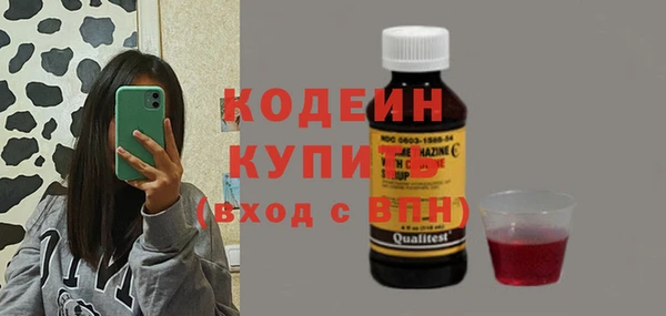 метадон Инта