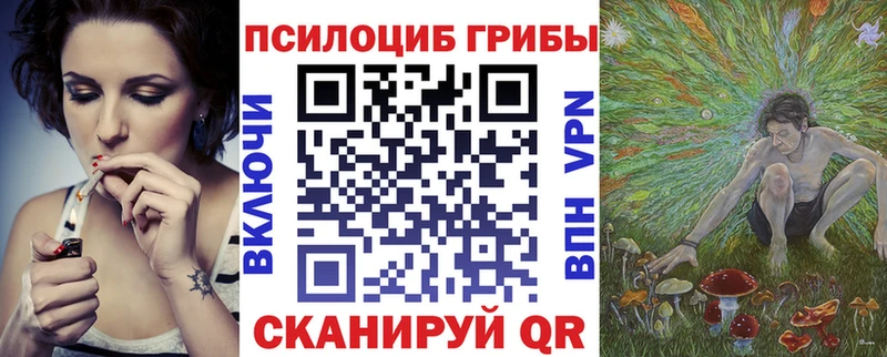 Псилоцибиновые грибы мицелий  Пушкино 