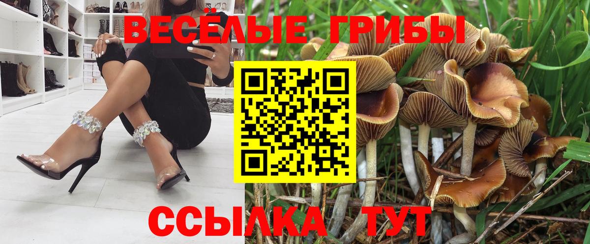 Псилоцибиновые грибы GOLDEN TEACHER Пушкино