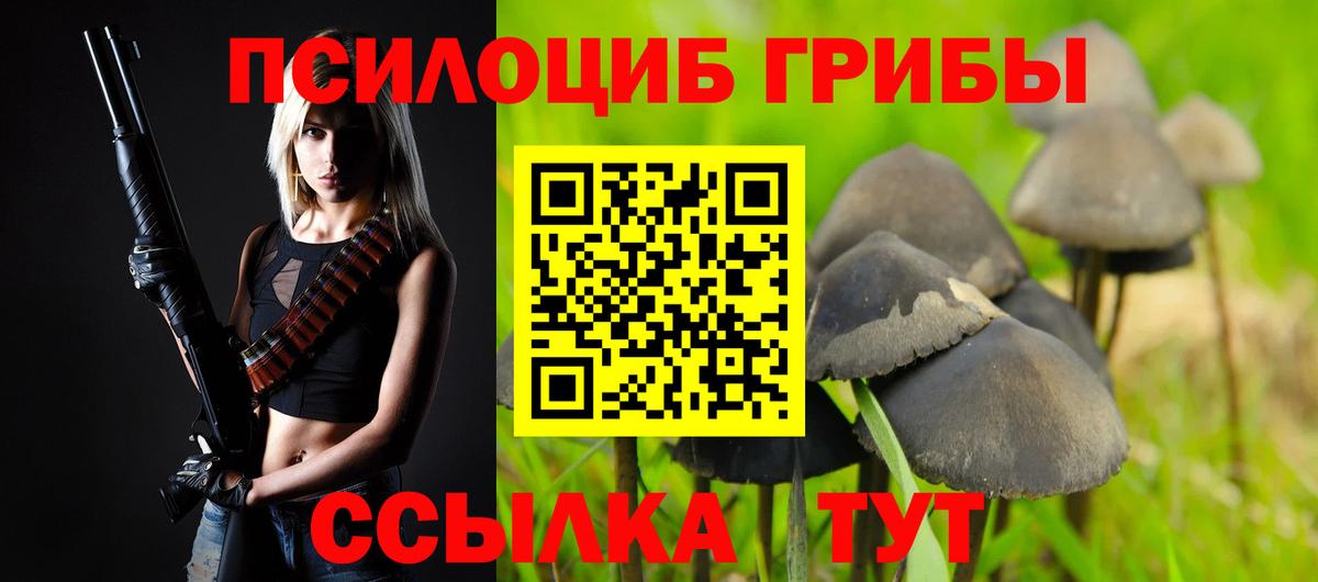 Пушкино  даркнет сайт  Вход с VPN  Псилоцибиновые грибы мухоморы 